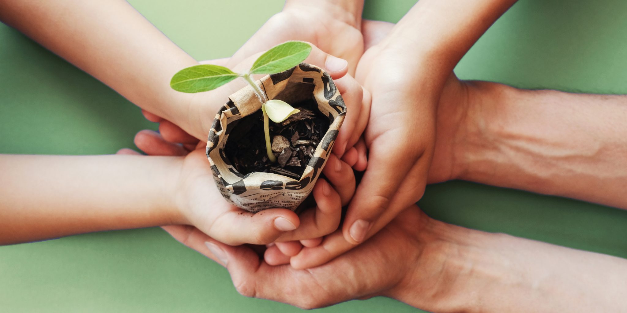 Learning materials in a montessori methodology school being mani