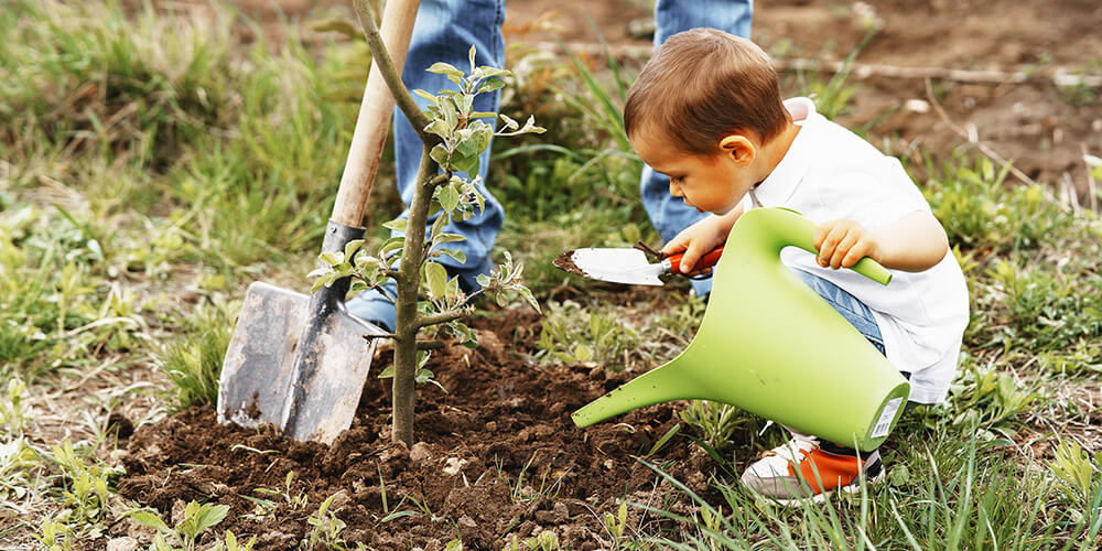 Natura in educatia Joy Montessori (1)